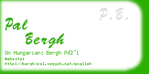 pal bergh business card
